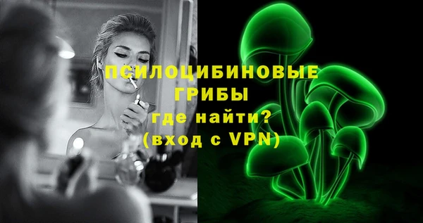 шишки Алзамай