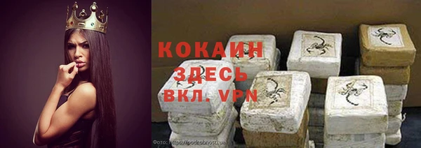 шишки Алзамай