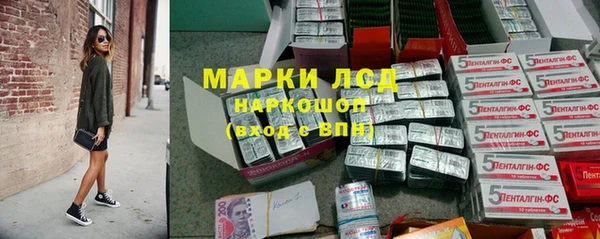 шишки Алзамай