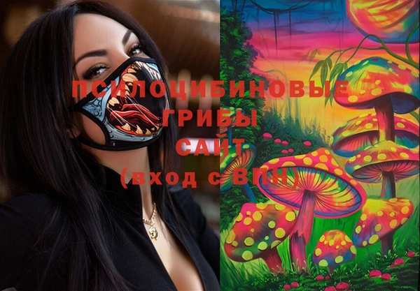 гидропоника Алексеевка