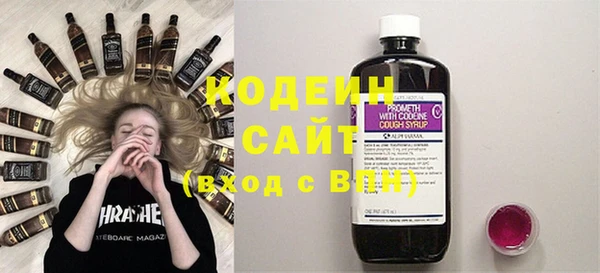 шишки Алзамай