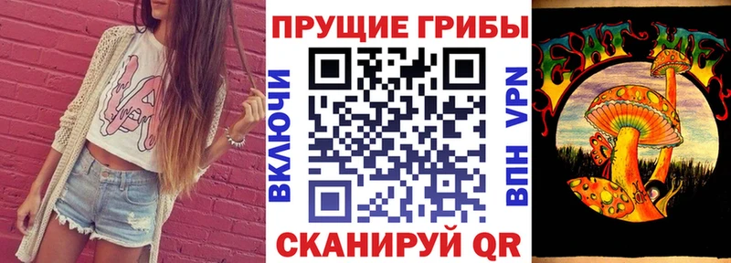 Псилоцибиновые грибы Psilocybe  даркнет как зайти  Осинники  дарнет шоп 